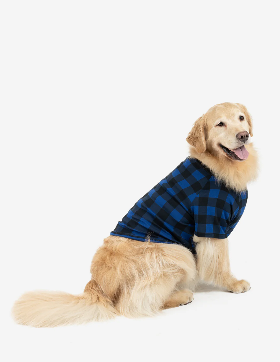Big Dog Black & Navy Plaid Pajamas - Image 3