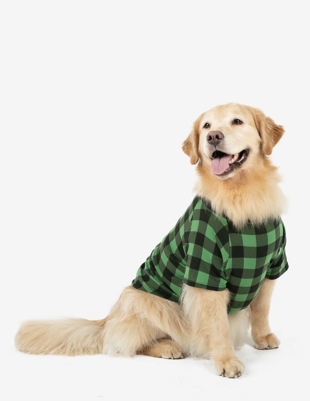 Big Dog Plaid Pajamas - Image 4