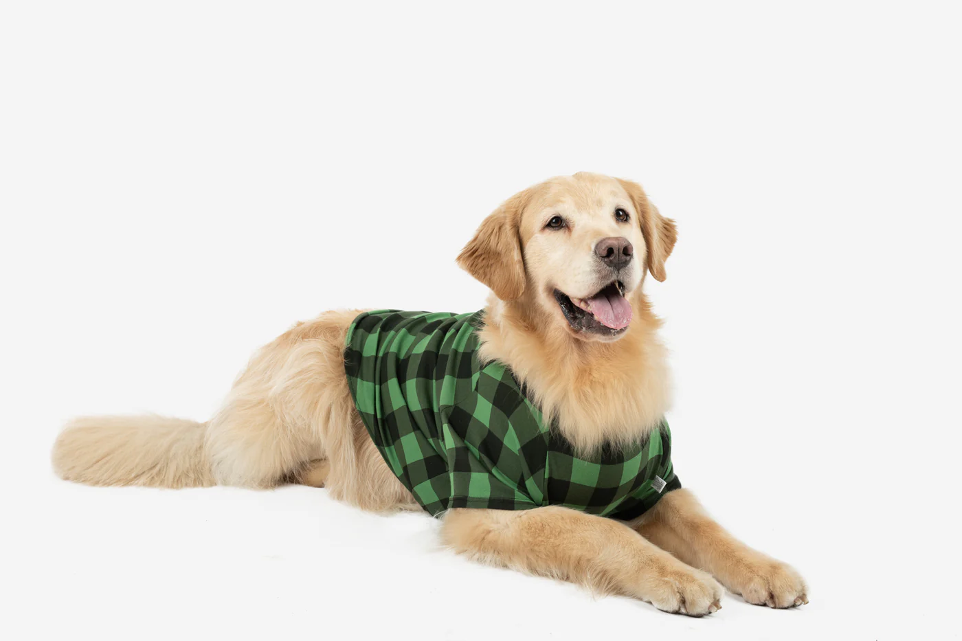 Big Dog Plaid Pajamas - Image 6