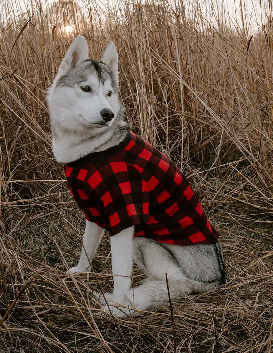 Big Dog Plaid Pajamas - Image 7