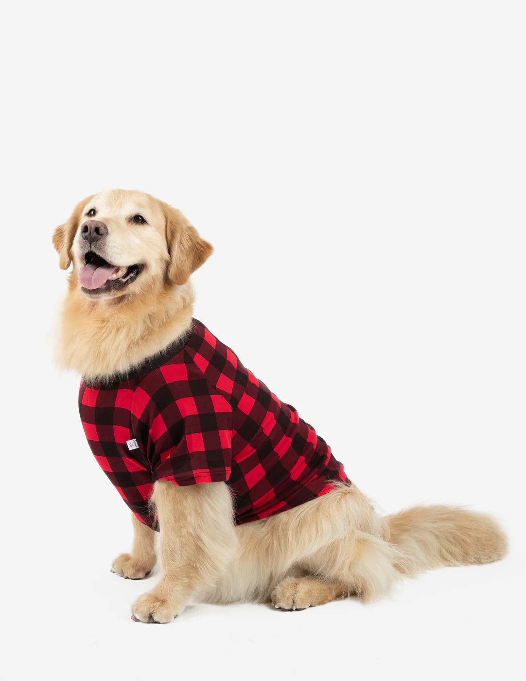 Big Dog Plaid Pajamas - Image 9