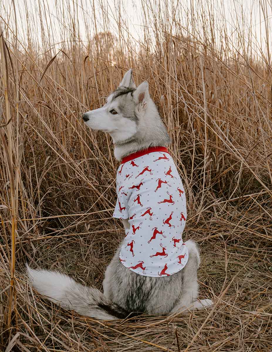 Big Dog Animal Print Pajamas - Image 14