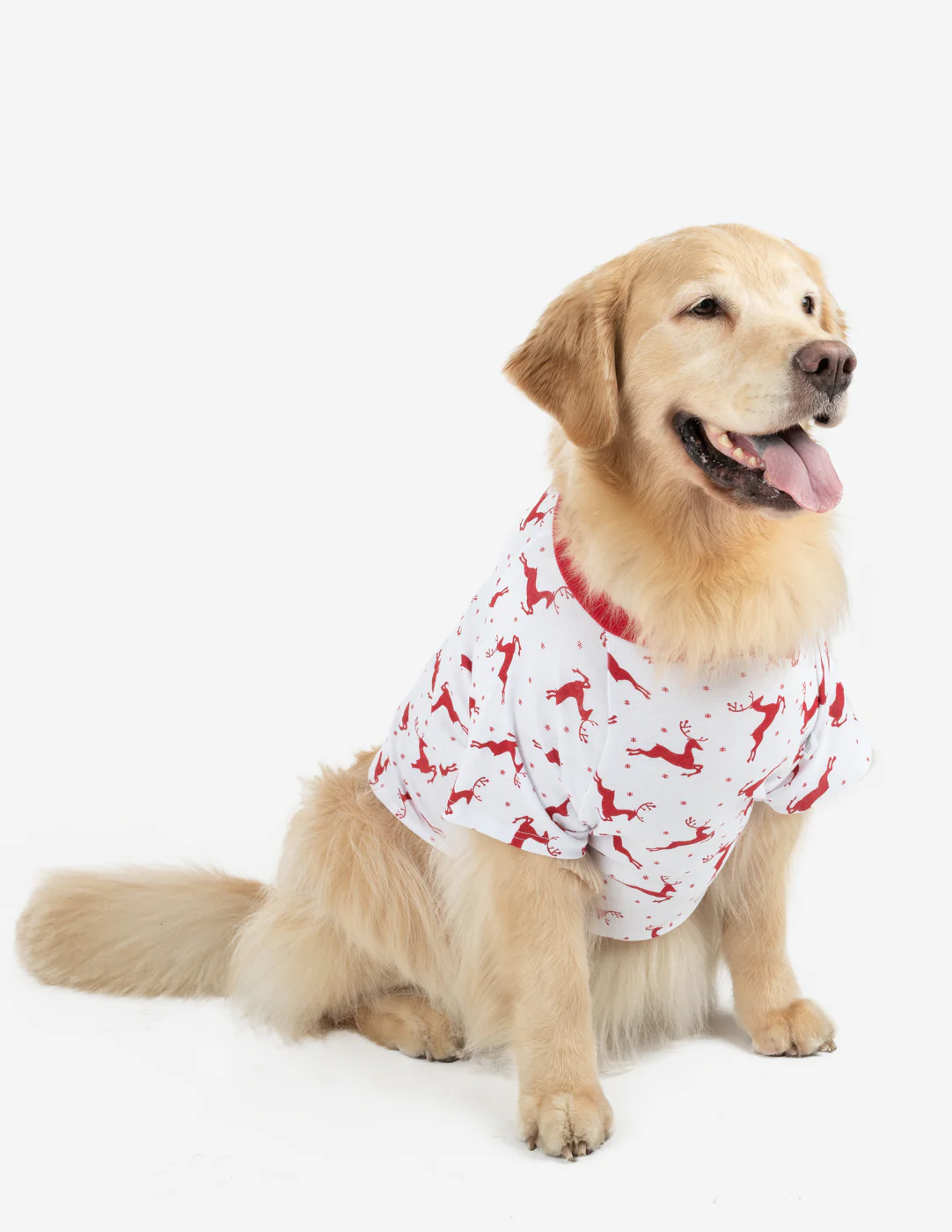 Big Dog Animal Print Pajamas - Image 16