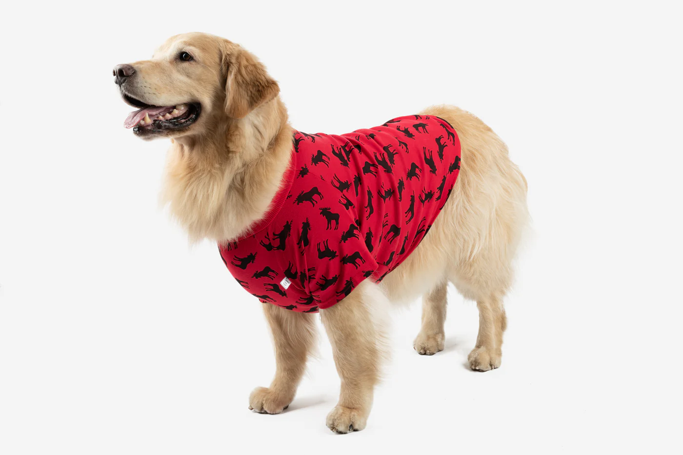 Big Dog Animal Print Pajamas - Image 3