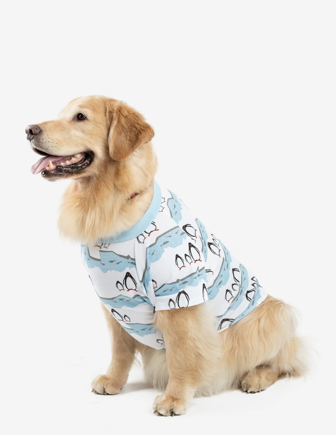 Big Dog Animal Print Pajamas - Image 7