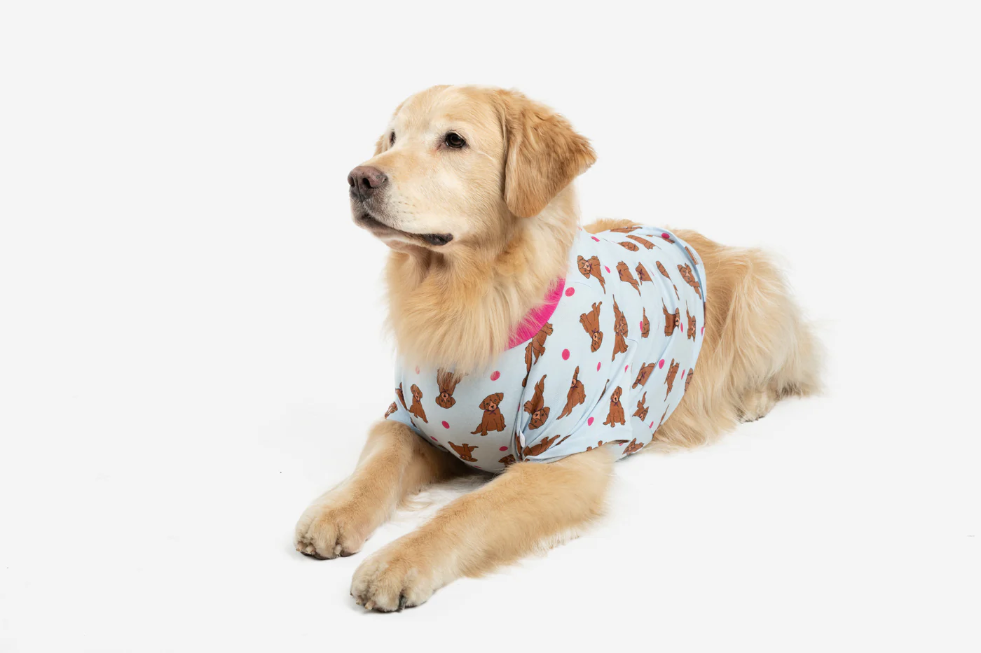 Big Dog Puppy Print Pajamas - Image 3