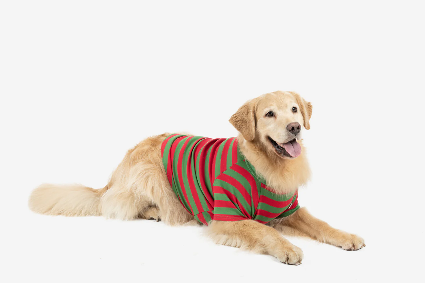 Big Dog Striped Pajamas - Image 3