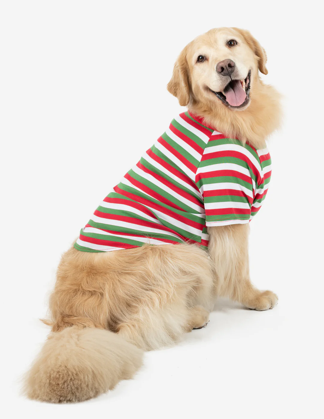 Big Dog Striped Pajamas - Image 7
