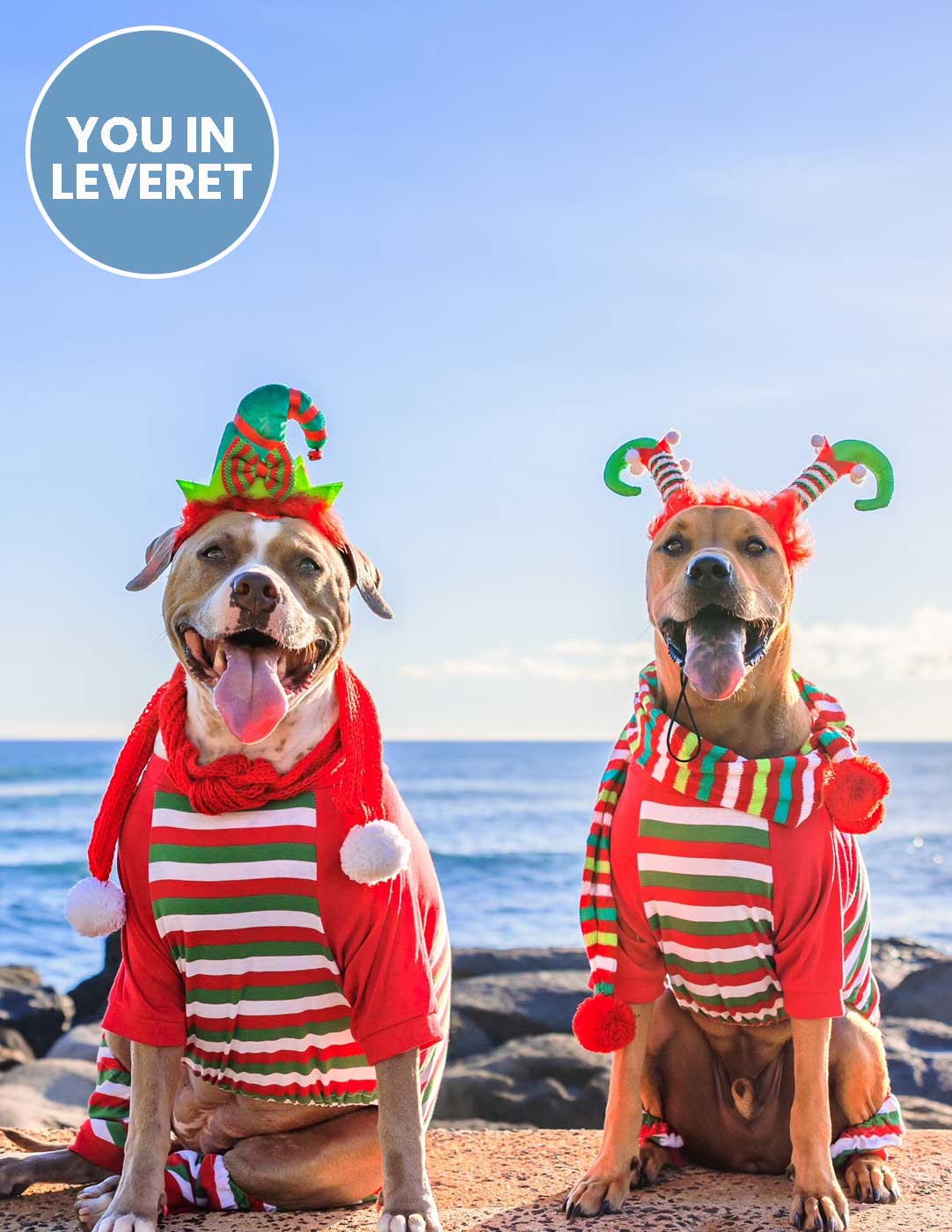 Big Dog Striped Pajamas - Image 8