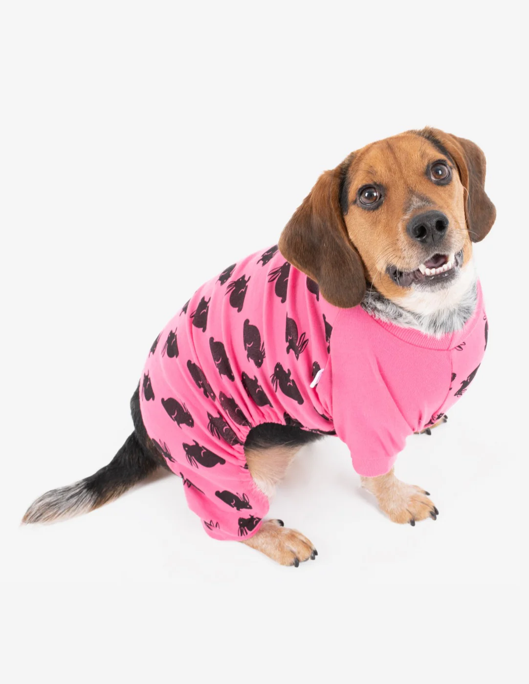 Dog Bunny Pajamas - Image 10