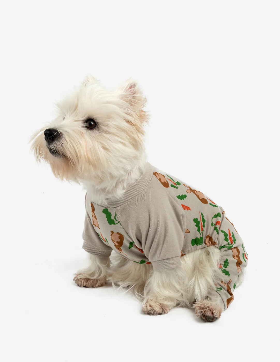 Dog Bunny Pajamas - Image 3