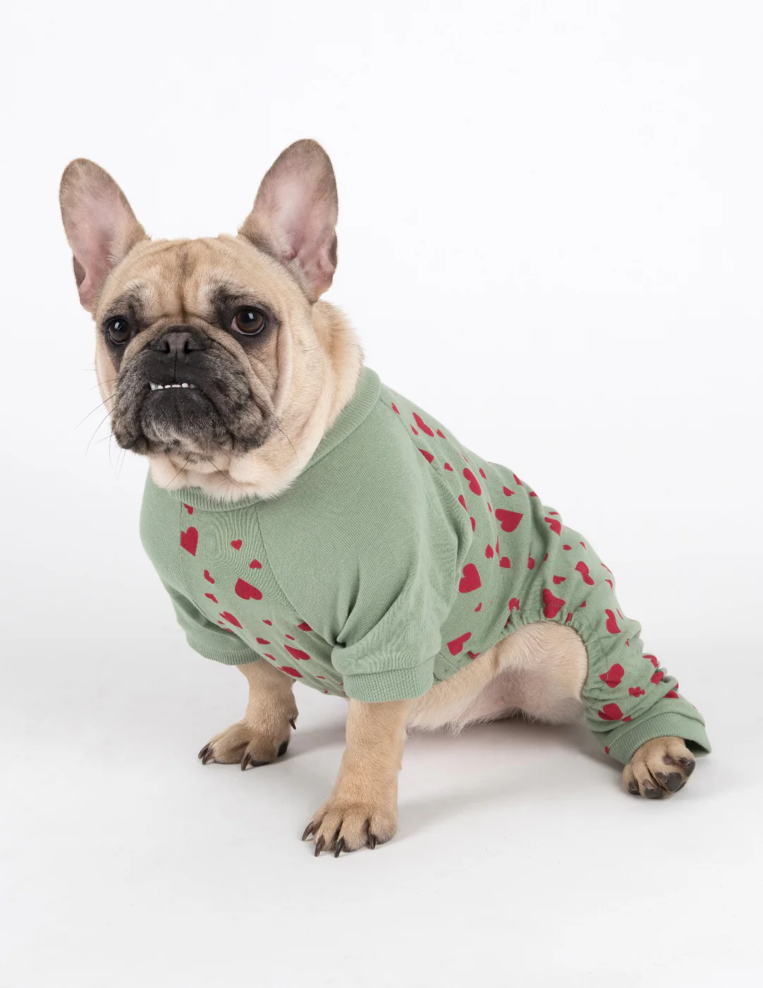 Small Dog Cotton Pajamas - Image 11
