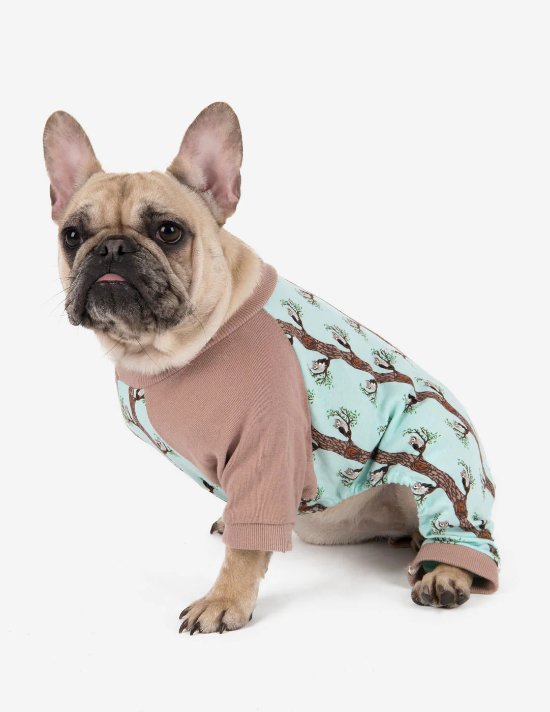 Small Dog Cotton Pajamas - Image 3