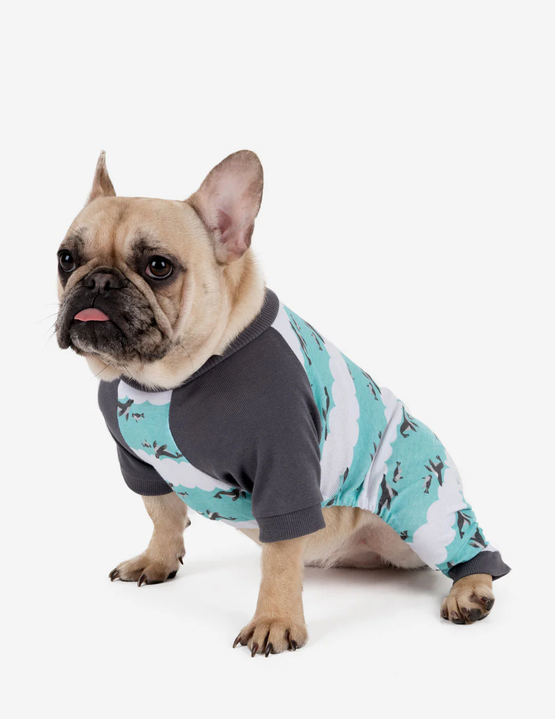 Small Dog Cotton Pajamas - Image 7