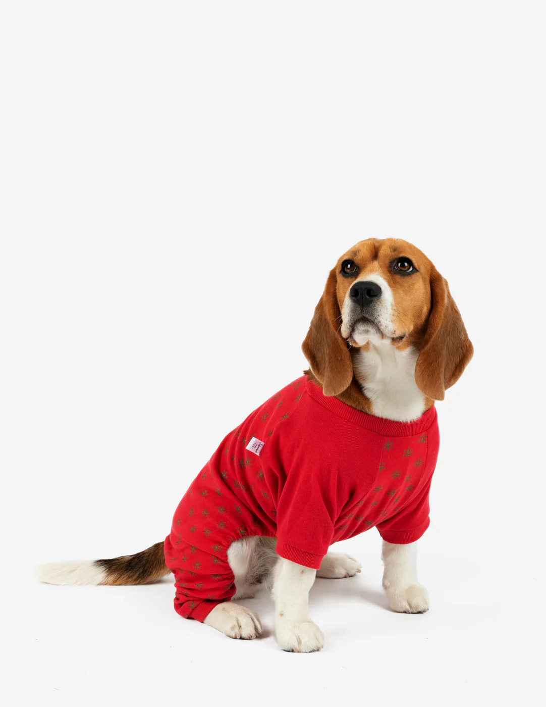 Small Dog Cotton Pajamas - Image 9
