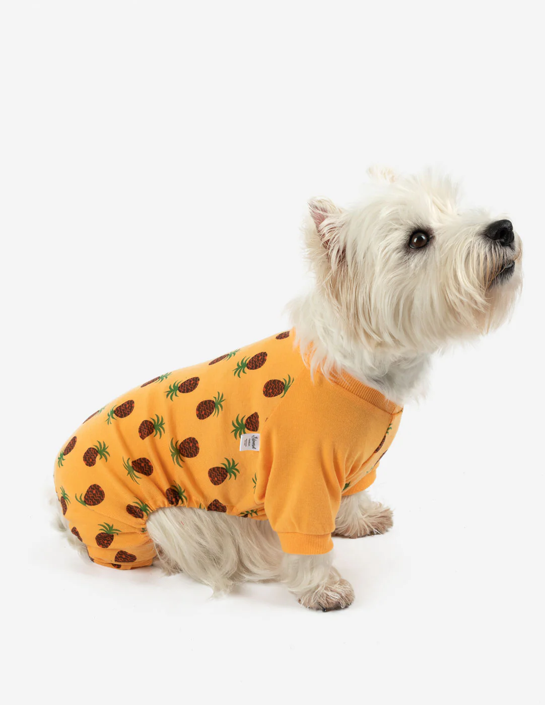 Dog Food Print Pajamas - Image 6