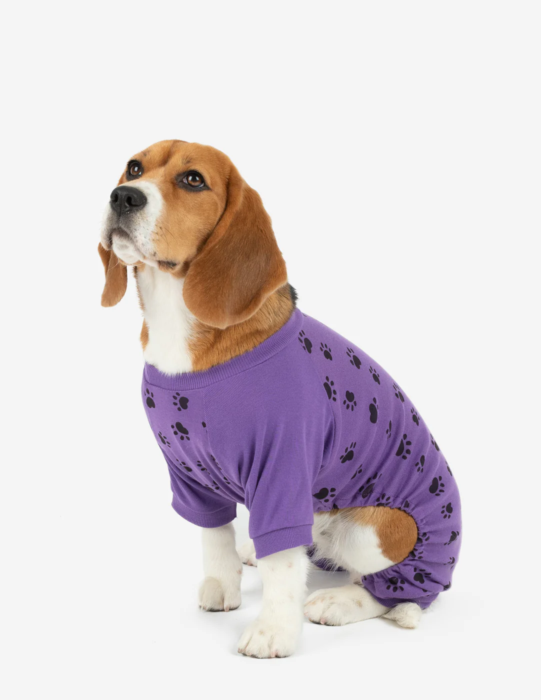 Dog Paw Print Pajamas - Image 4