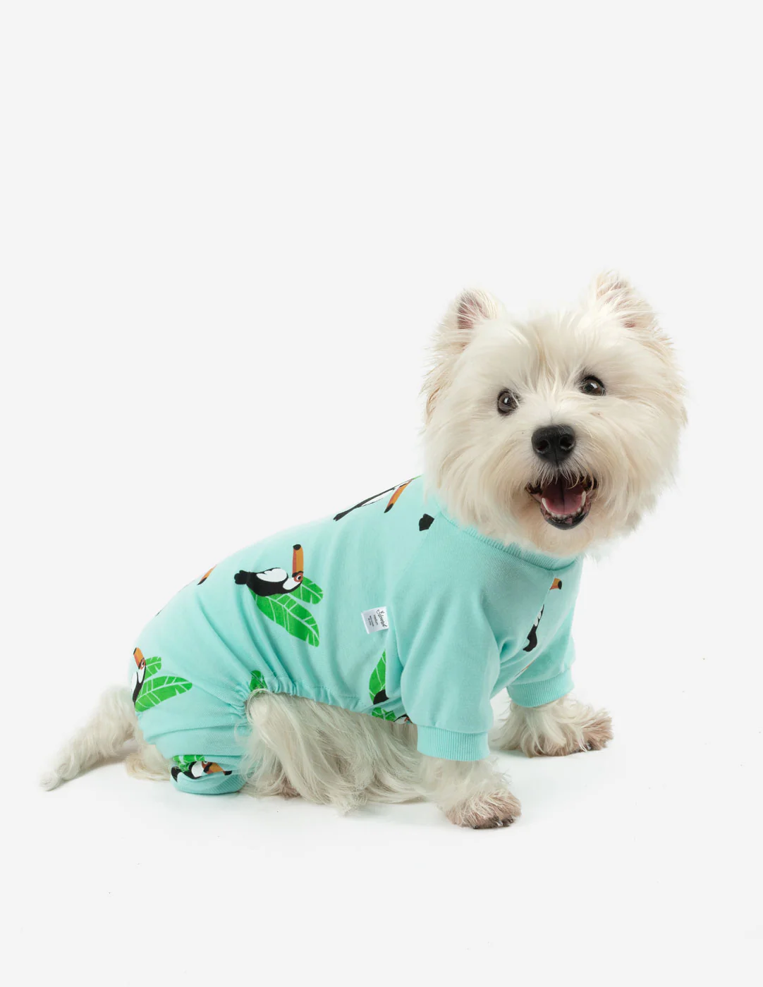 Dog Print Pajamas - Image 11