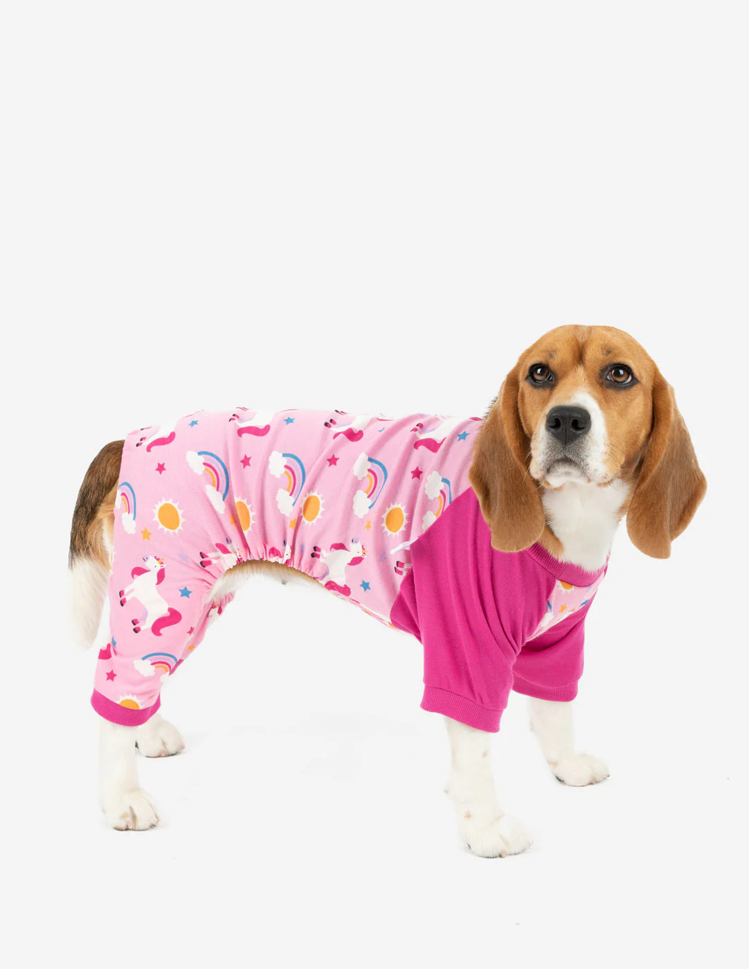 Dog Print Pajamas - Image 14