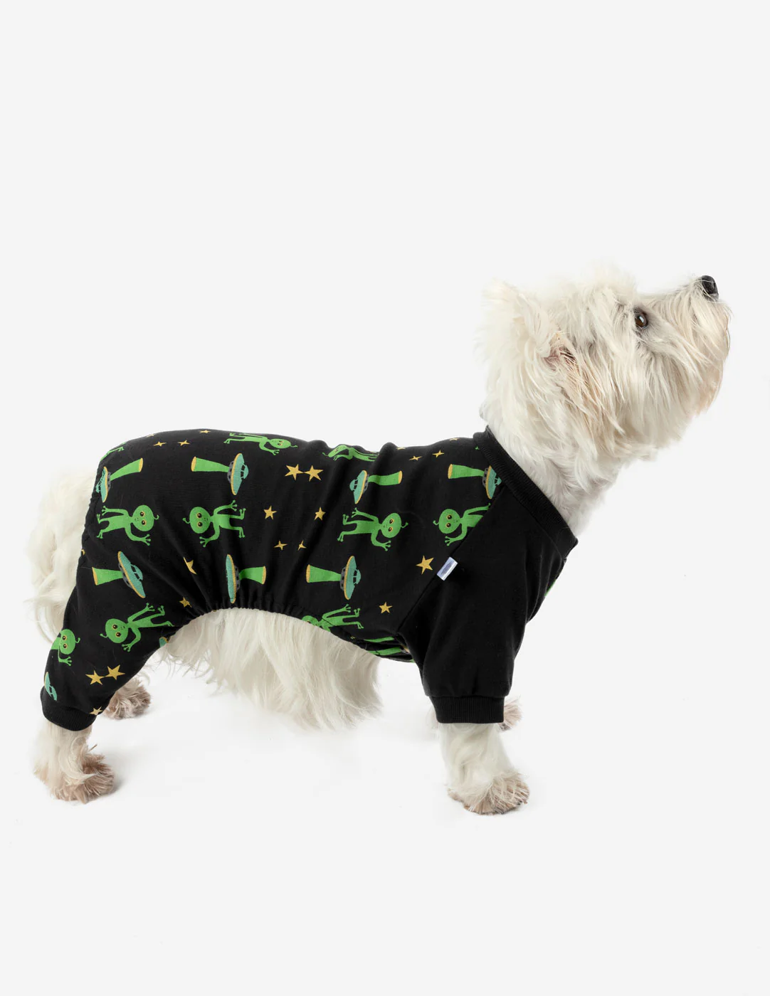 Dog Print Pajamas - Image 16