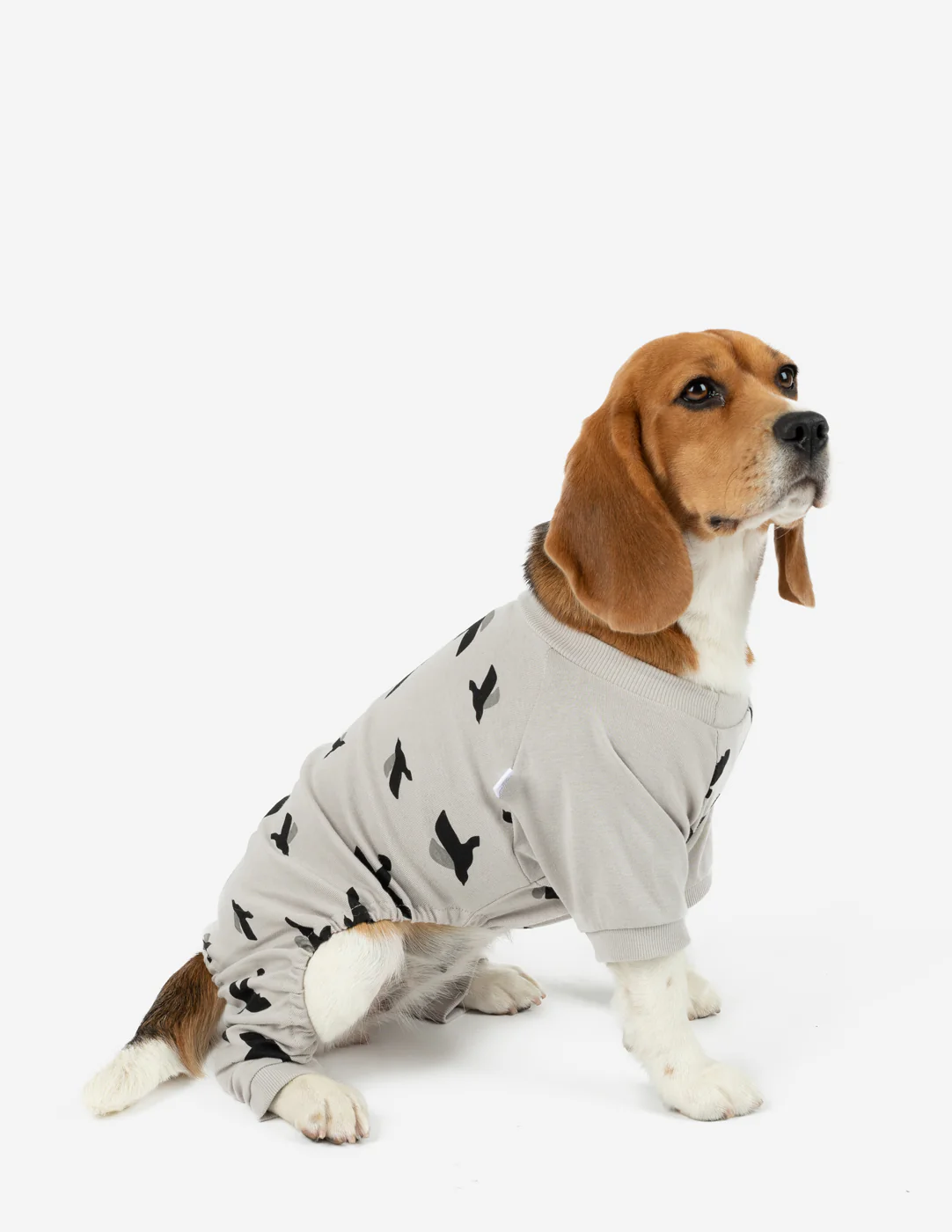 Dog Print Pajamas - Image 5