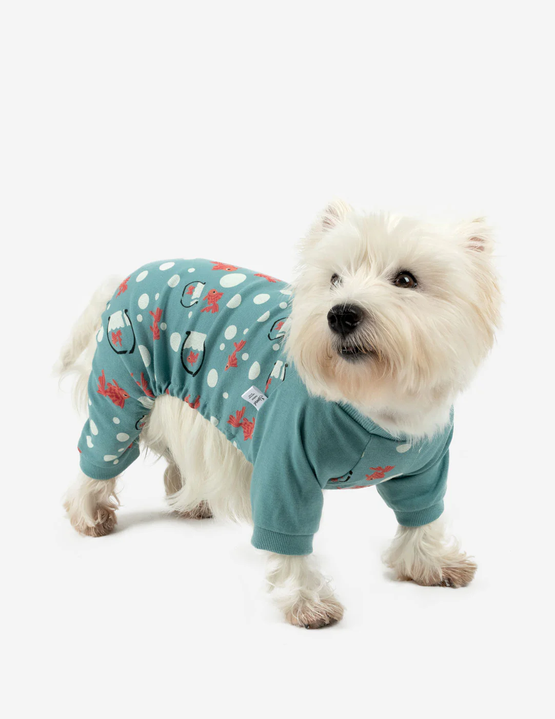 Dog Print Pajamas - Image 7
