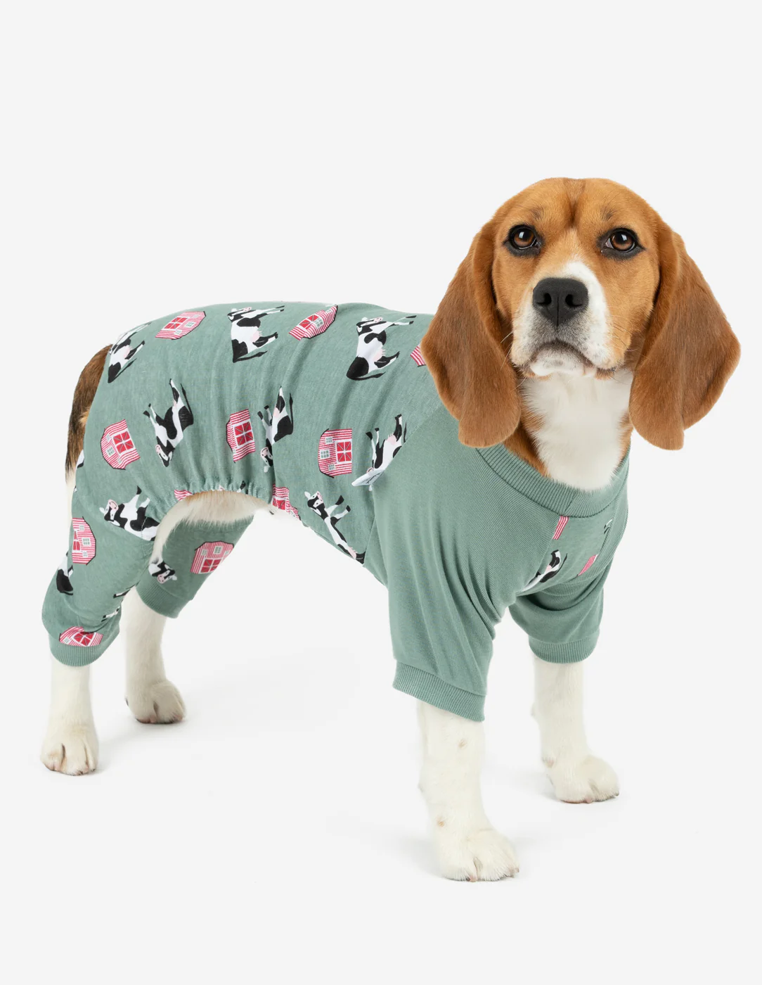 Dog Print Pajamas - Image 9