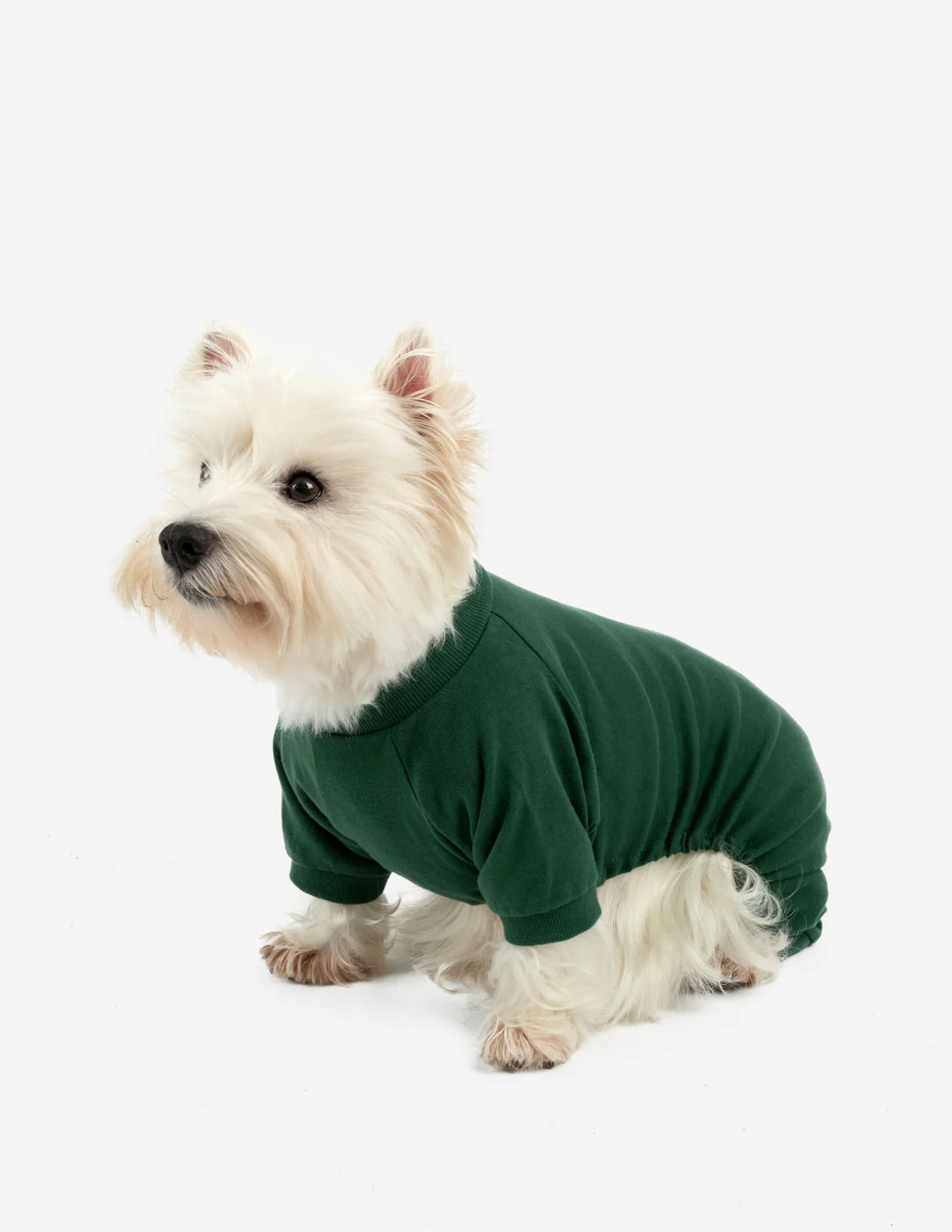 Dog's Solid Color Boho Pajamas - Image 4