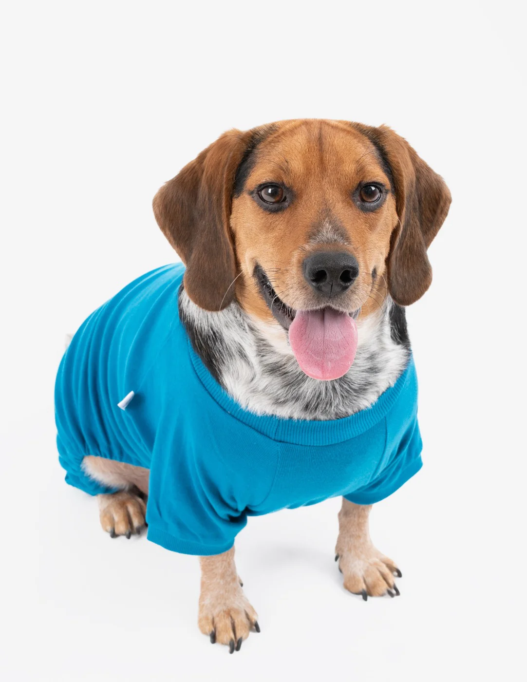 Dog's Solid Color Boho Pajamas - Image 7