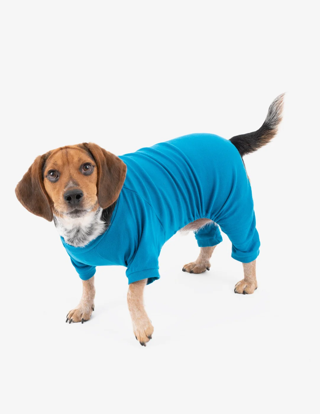 Dog's Solid Color Boho Pajamas - Image 9