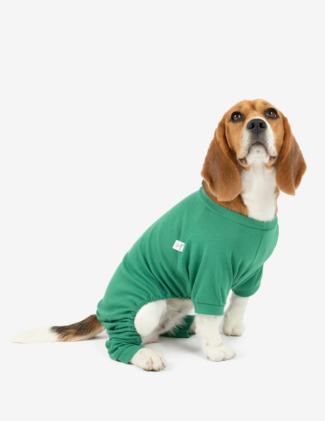 Dog's Solid Classic Color Pajamas - Image 11
