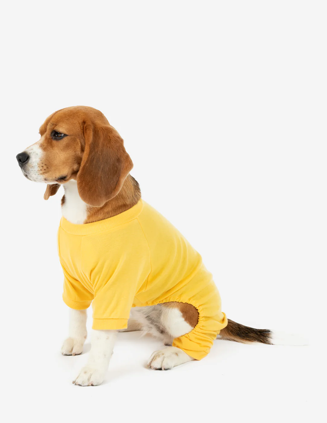 Dog's Solid Classic Color Pajamas - Image 7