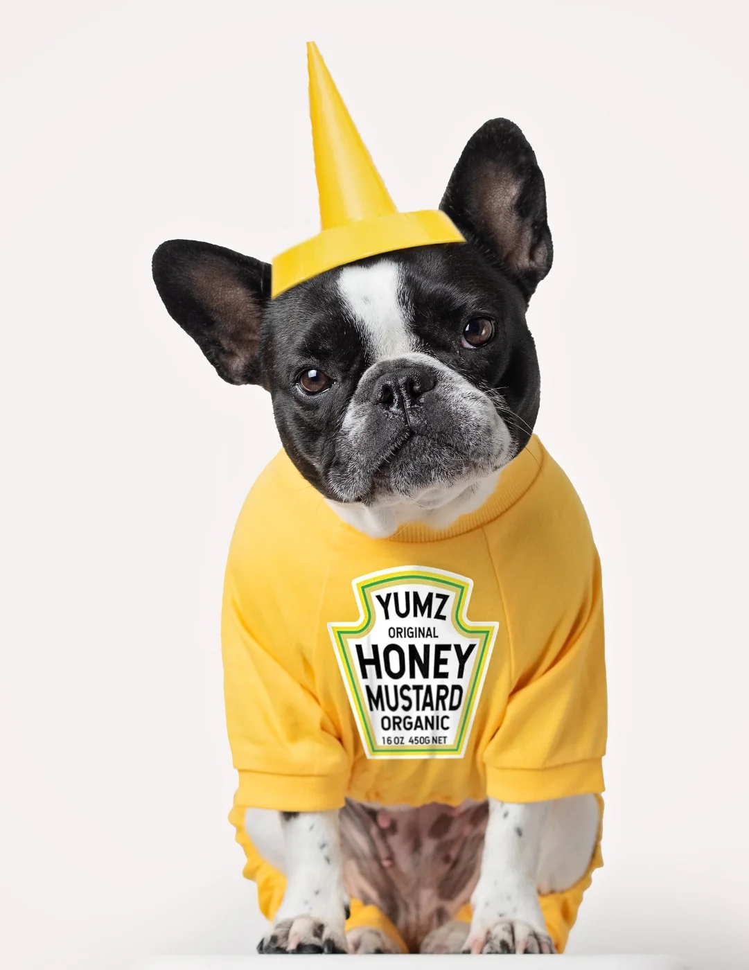 Dog's Solid Classic Color Pajamas - Image 9