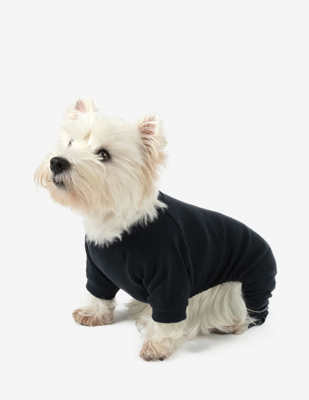 Dog's Solid Color Neutral Pajamas - Image 10