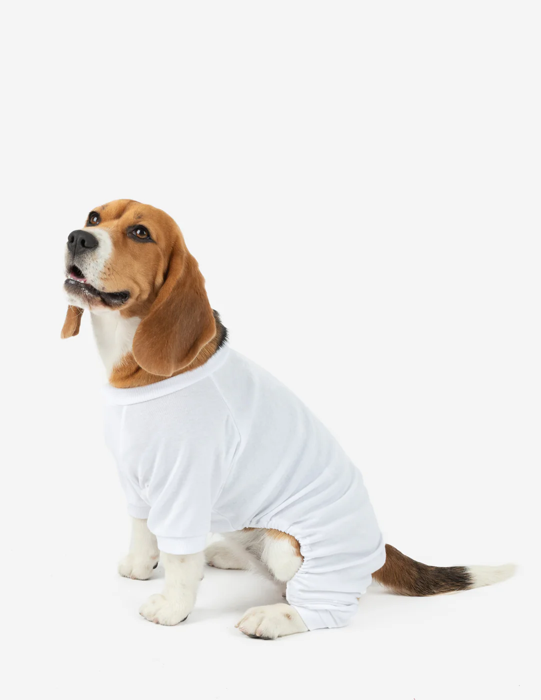 Dog's Solid Color Neutral Pajamas - Image 12