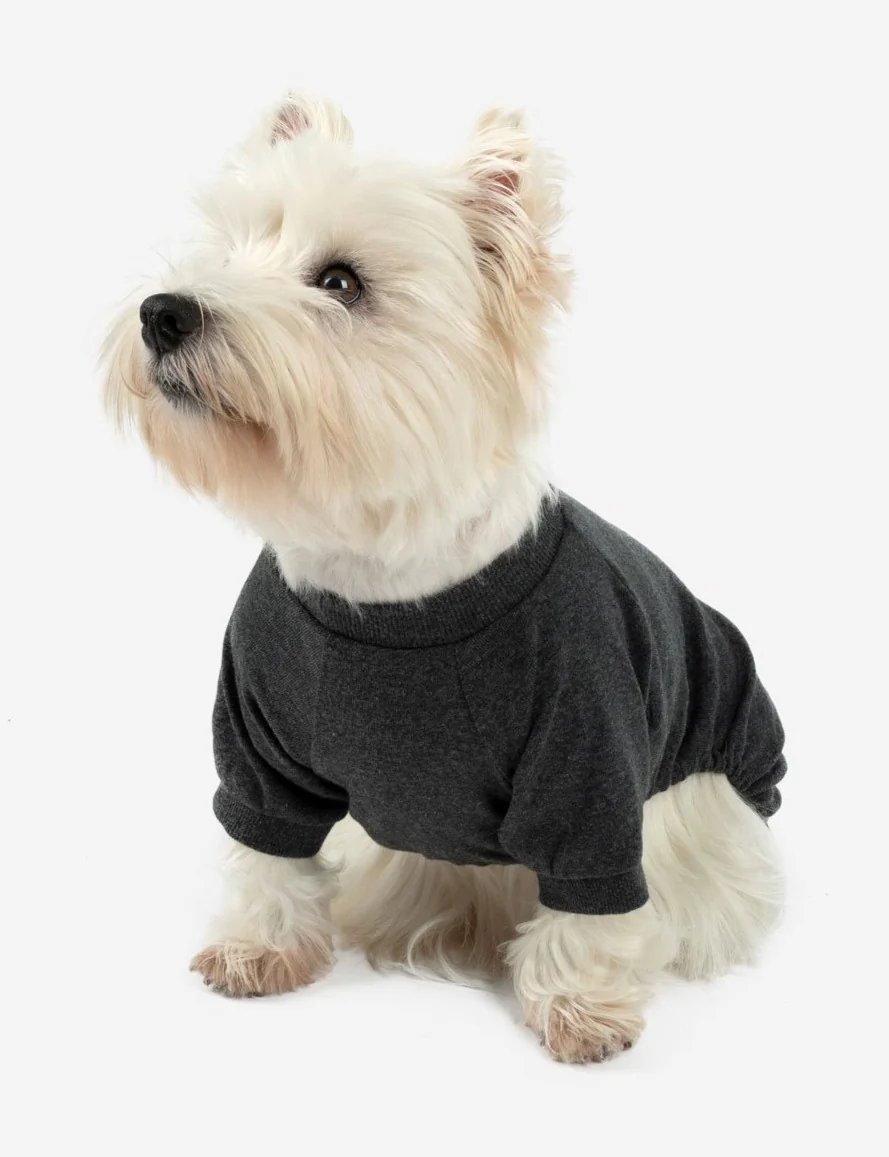 Dog's Solid Color Neutral Pajamas - Image 14