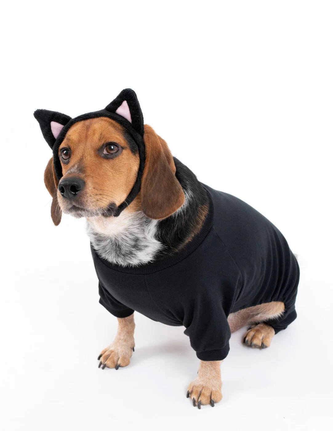 Dog's Solid Color Neutral Pajamas - Image 3