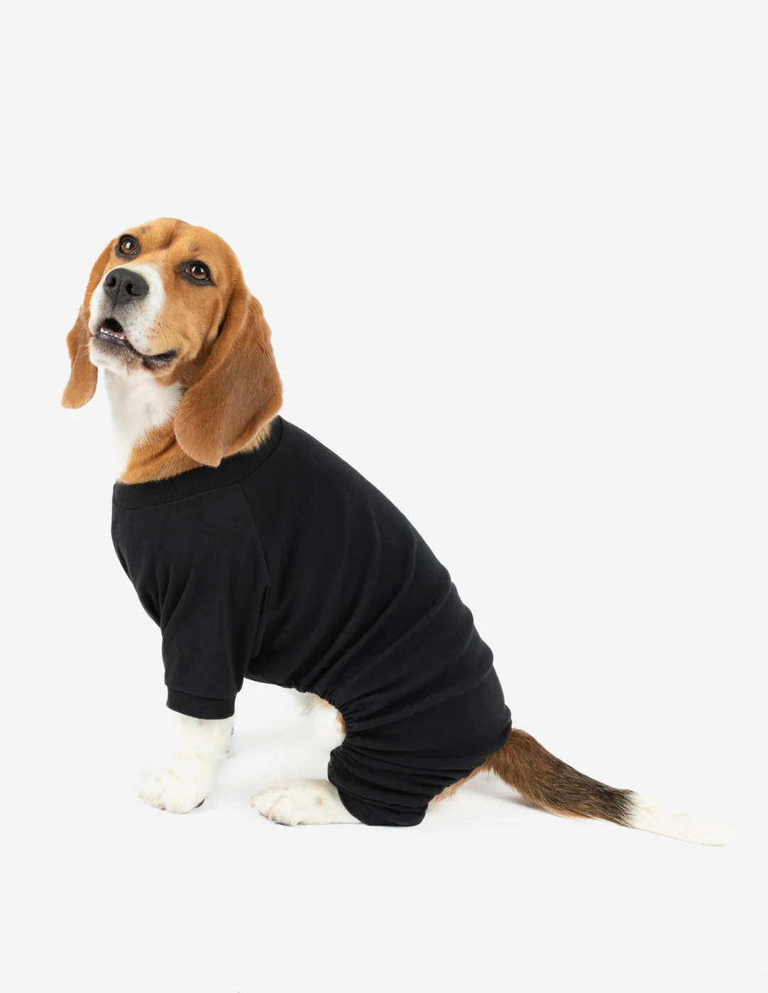 Dog's Solid Color Neutral Pajamas - Image 4