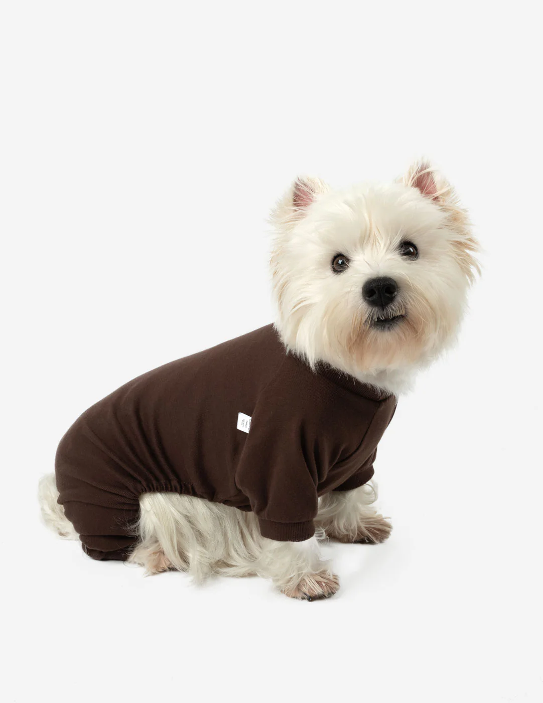 Dog's Solid Color Neutral Pajamas - Image 6