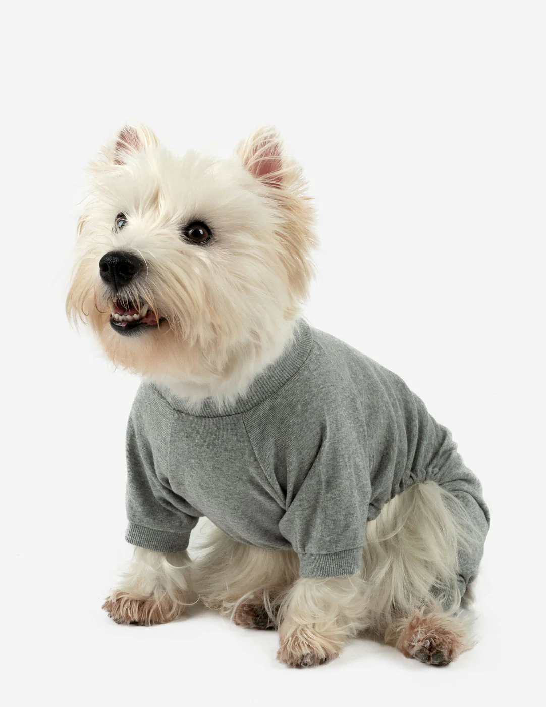 Dog's Solid Color Neutral Pajamas - Image 8