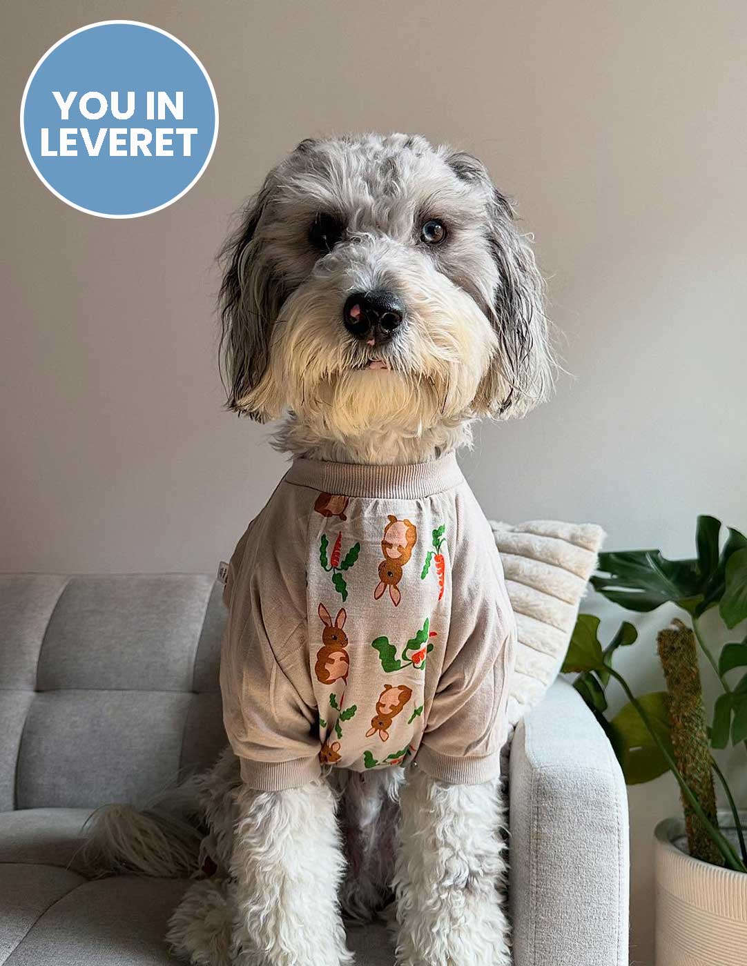Dog Bunny Pajamas - Image 7