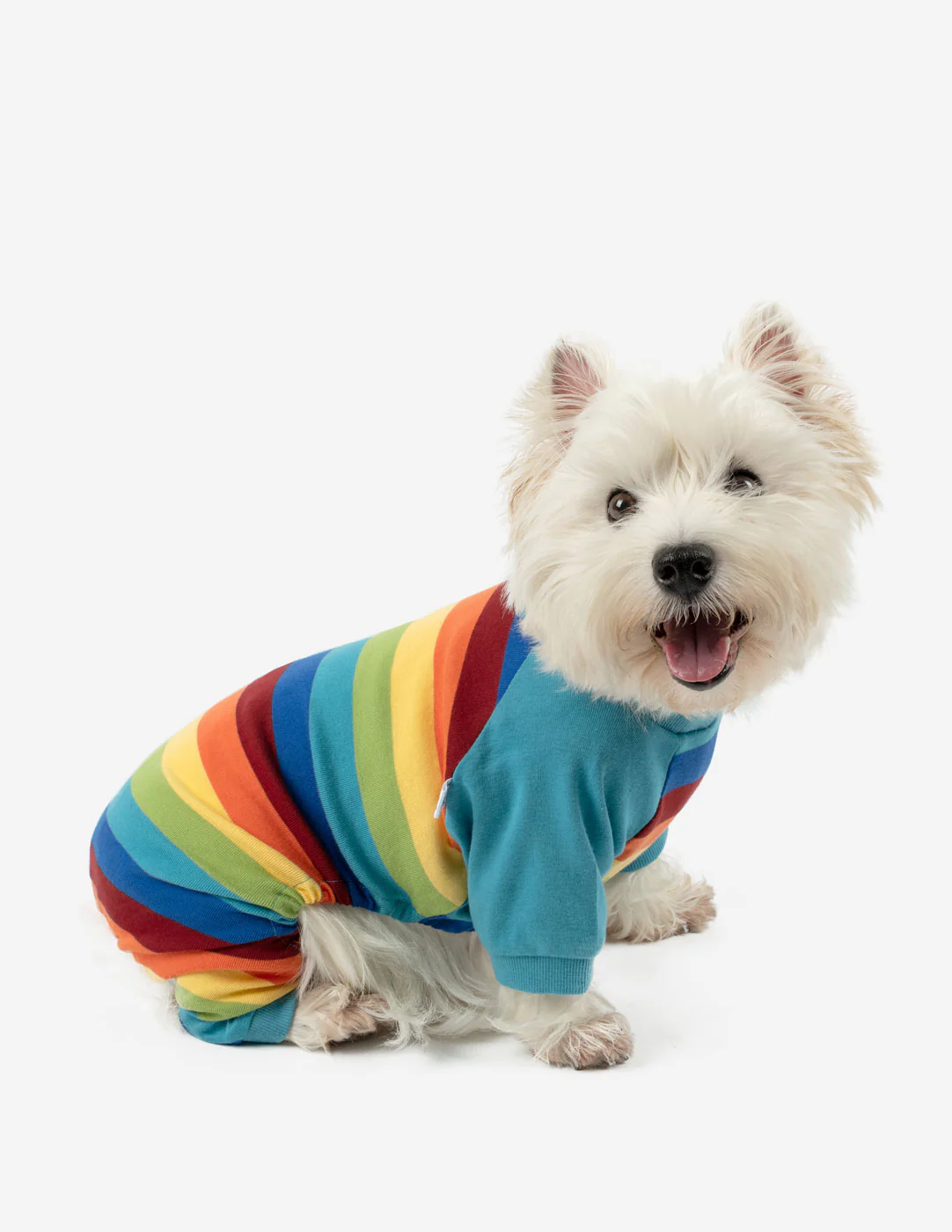 Dog Cotton Rainbow Boy Stripes Pajamas - Image 2