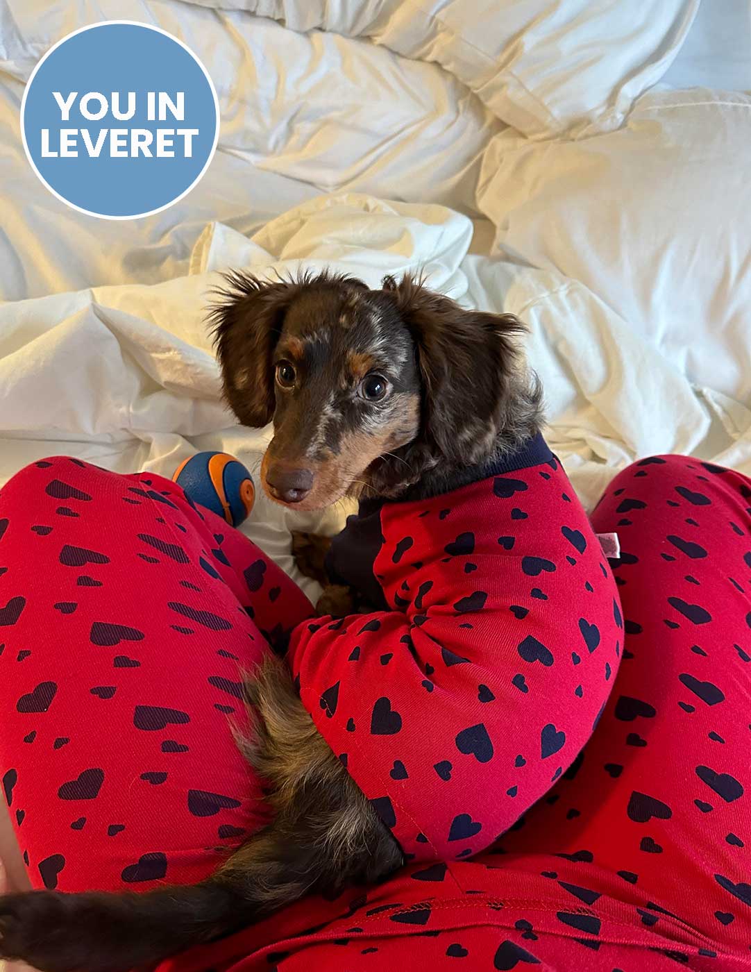 Dog Dark Navy Hearts Pajamas - Image 4