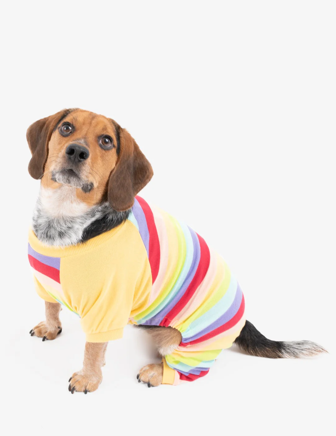 Dog Cotton Rainbow Girl Stripes Pajamas - Image 2