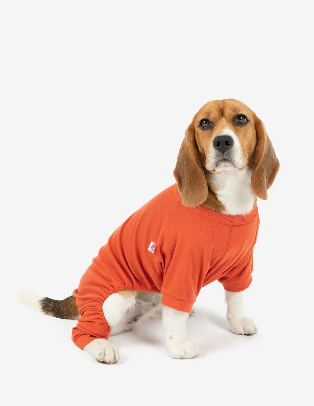 Dogs Solid Color Orange Pajamas - Image 2