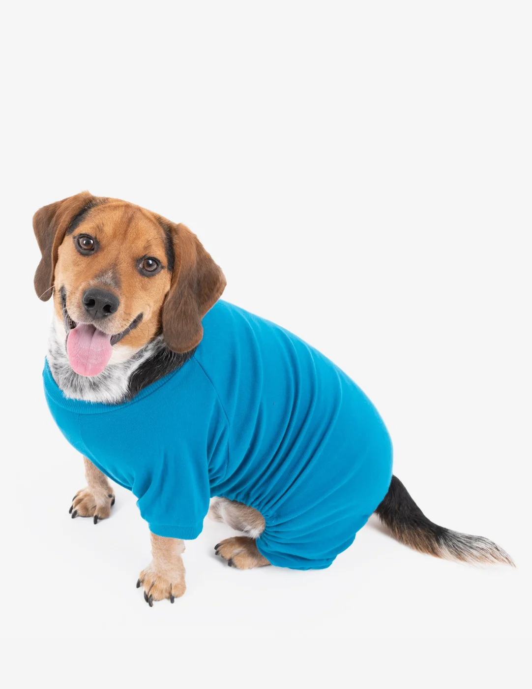 Dogs Solid Color Teal Pajamas - Image 3