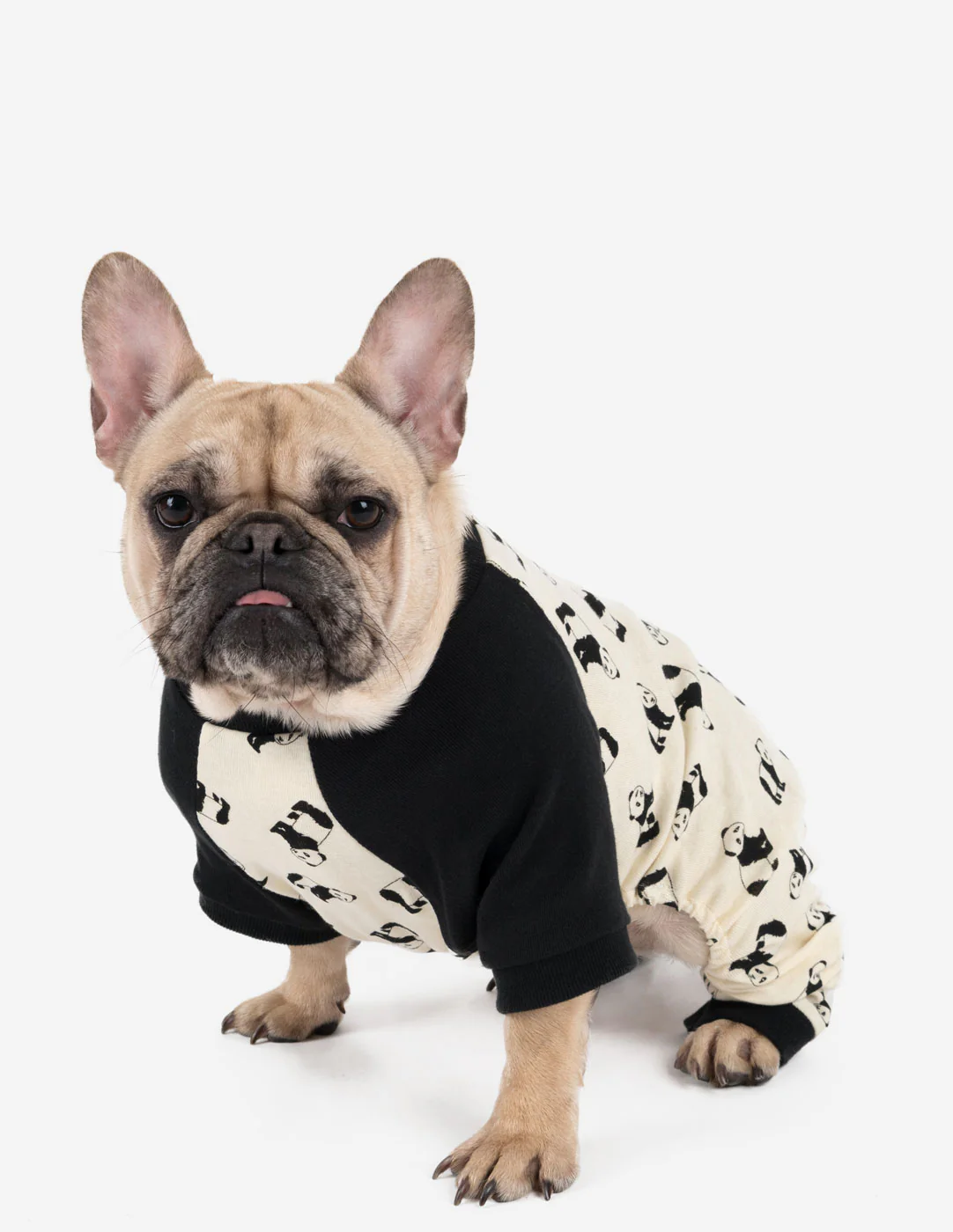 Dog Print Pajamas - Image 12