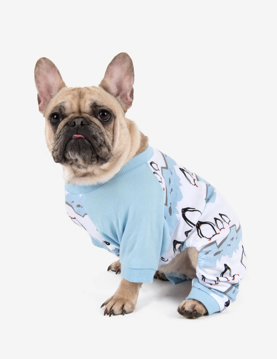 Dog Print Pajamas - Image 13