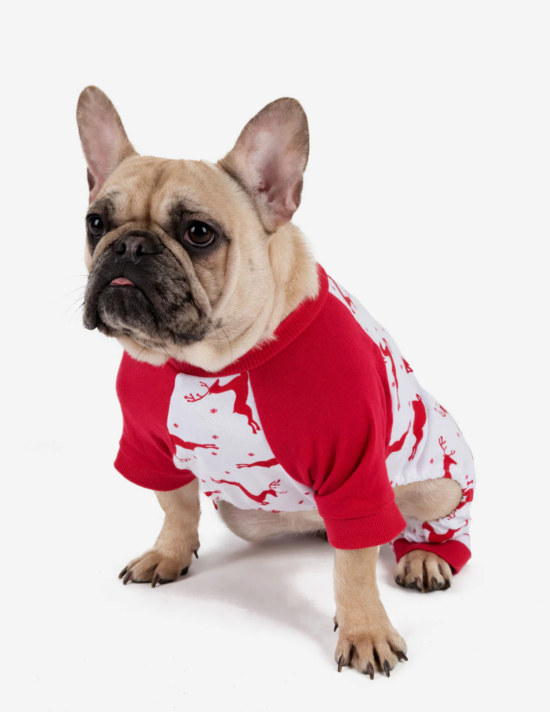 Dog Print Pajamas - Image 17