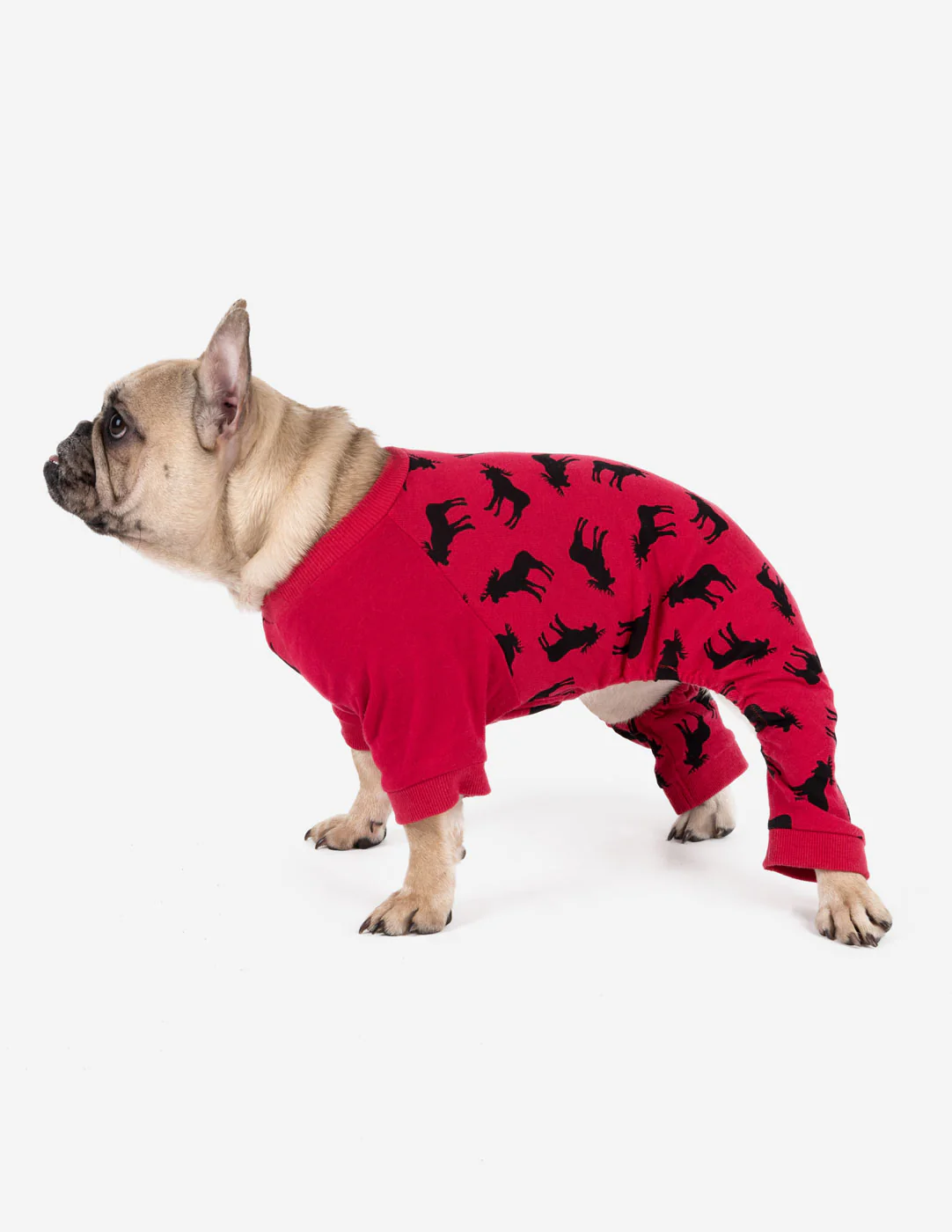 Dog Print Pajamas - Image 20